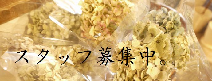 スタッフ募集バナー2文字入り（大-2）