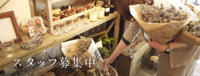 スタッフ募集中