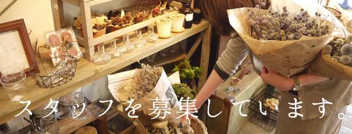 スタッフ募集・バナー・文字入り